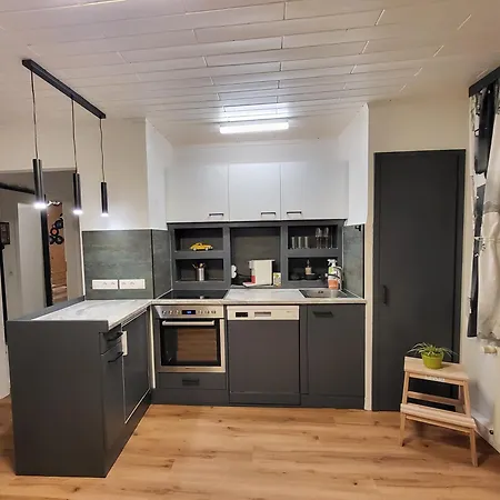 Stilvoll Renoviertes 50m2 In Gruenlage - Ganze * Грац