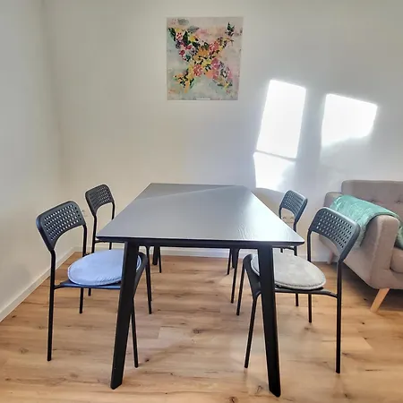 Apartment Stilvoll Renoviertes 50m2 In Gruenlage - Ganze Graz