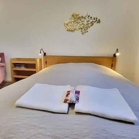 Apartment Stilvoll Renoviertes 50m2 In Gruenlage - Ganze *