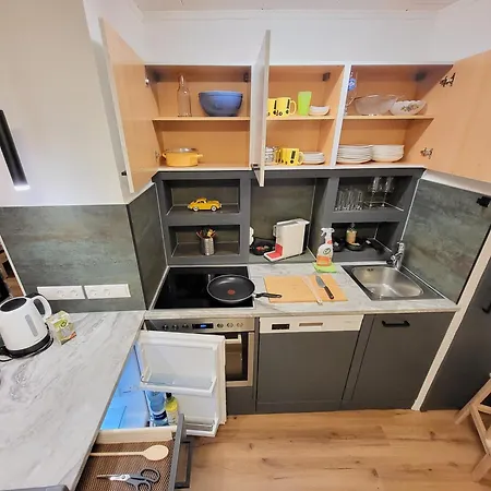 Apartment Stilvoll Renoviertes 50m2 In Gruenlage - Ganze