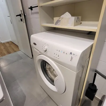Stilvoll Renoviertes 50m2 In Gruenlage - Ganze 格拉茨