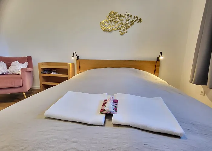 Lägenhet Stilvoll Renoviertes 50m2 In Gruenlage - Ganze *